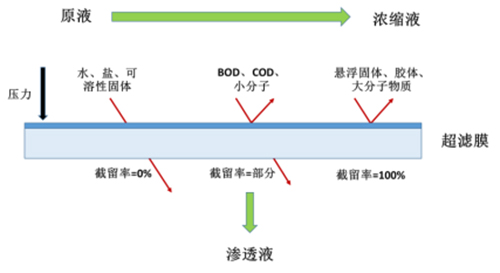 未標題-1.jpg